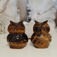 Load image into Gallery viewer, Tiger Eye Owl