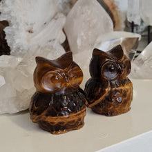 Load image into Gallery viewer, Tiger Eye Owl
