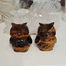 Load image into Gallery viewer, Tiger Eye Owl
