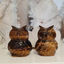 Load image into Gallery viewer, Tiger Eye Owl