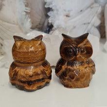 Load image into Gallery viewer, Tiger Eye Owl