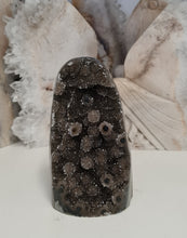 Load image into Gallery viewer, Red Amethyst with Stalactite Eyes Cutbase