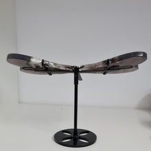 Load image into Gallery viewer, Black Flower Agate Dragonfly Wings