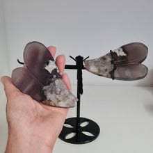 Load image into Gallery viewer, Black Flower Agate Dragonfly Wings
