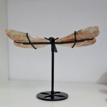 Load image into Gallery viewer, Flower Agate Dragonfly Wings