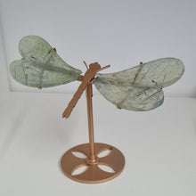 Load image into Gallery viewer, Prehnite Dragonfly Wings