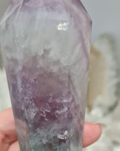 Load image into Gallery viewer, Fluorite Wand in Stand