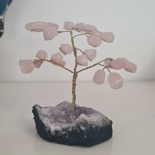 Load image into Gallery viewer, Rose Quartz on Amethyst Bonsai Tree