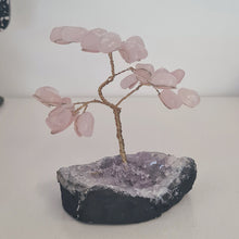 Load image into Gallery viewer, Rose Quartz on Amethyst Bonsai Tree