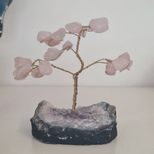 Load image into Gallery viewer, Rose Quartz on Amethyst Bonsai Tree