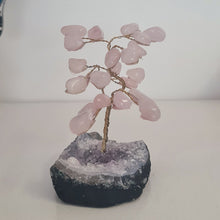 Load image into Gallery viewer, Rose Quartz on Amethyst Bonsai Tree