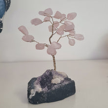 Load image into Gallery viewer, Rose Quartz on Amethyst Bonsai Tree