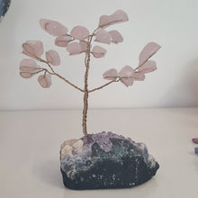 Load image into Gallery viewer, Rose Quartz on Amethyst Bonsai Tree
