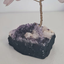 Load image into Gallery viewer, Rose Quartz on Amethyst Bonsai Tree