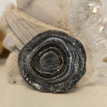 Load image into Gallery viewer, Chalcedony Agate Slice