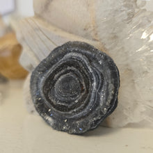 Load image into Gallery viewer, Chalcedony Agate Slice