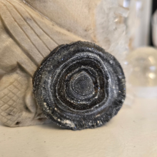 Load image into Gallery viewer, Chalcedony Agate Slice