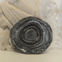 Load image into Gallery viewer, Chalcedony Agate Slice