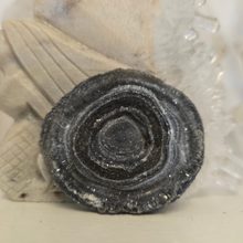 Load image into Gallery viewer, Chalcedony Agate Slice