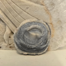 Load image into Gallery viewer, Chalcedony Agate Slice