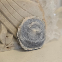 Load image into Gallery viewer, Chalcedony Agate Slice