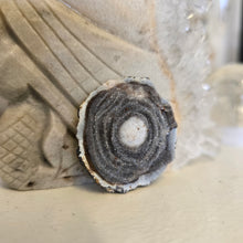 Load image into Gallery viewer, Chalcedony Agate Slice