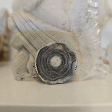 Load image into Gallery viewer, Chalcedony Agate Slice