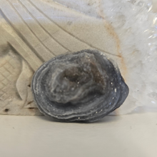 Load image into Gallery viewer, Chalcedony Agate Slice