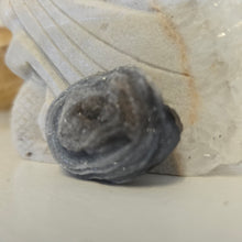 Load image into Gallery viewer, Chalcedony Agate Slice