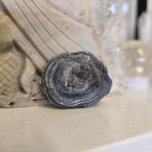 Load image into Gallery viewer, Chalcedony Agate Slice
