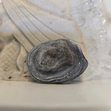 Load image into Gallery viewer, Chalcedony Agate Slice