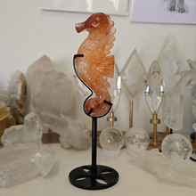 Load image into Gallery viewer, Fire Quartz Seahorse