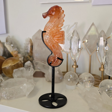 Load image into Gallery viewer, Fire Quartz Seahorse