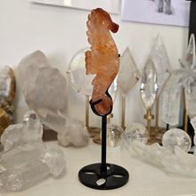 Load image into Gallery viewer, Fire Quartz Seahorse