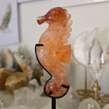 Load image into Gallery viewer, Fire Quartz Seahorse