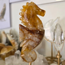 Load image into Gallery viewer, Golden Healer Quartz Seahorse