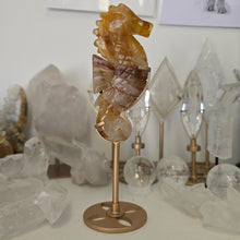 Load image into Gallery viewer, Golden Healer Quartz Seahorse