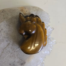 Load image into Gallery viewer, Tiger's Eye Unicorn Carving