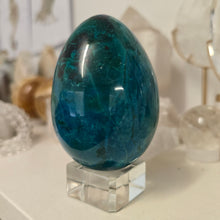Load image into Gallery viewer, Chrysocolla Egg
