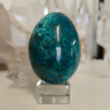Load image into Gallery viewer, Chrysocolla Egg