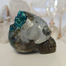 Load image into Gallery viewer, Quantum Quattro Skull