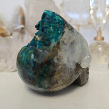 Load image into Gallery viewer, Quantum Quattro Skull