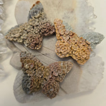 Load image into Gallery viewer, Alashan Agate Flower Butterfly