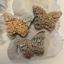 Load image into Gallery viewer, Alashan Agate Flower Butterfly