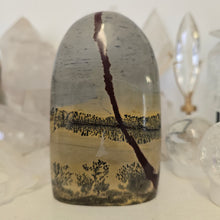 Load image into Gallery viewer, Picture Jasper Freeform