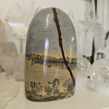 Load image into Gallery viewer, Picture Jasper Freeform