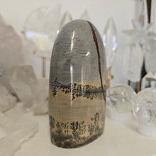 Load image into Gallery viewer, Picture Jasper Freeform