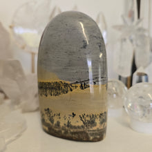 Load image into Gallery viewer, Picture Jasper Freeform