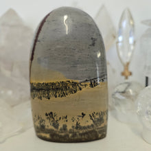 Load image into Gallery viewer, Picture Jasper Freeform