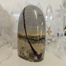 Load image into Gallery viewer, Picture Jasper Freeform